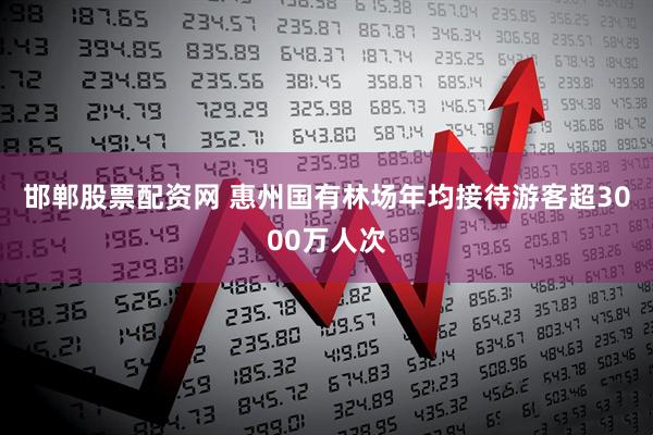 邯郸股票配资网 惠州国有林场年均接待游客超3000万人次