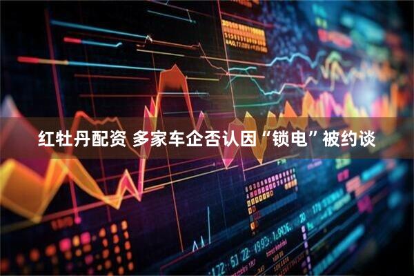 红牡丹配资 多家车企否认因“锁电”被约谈