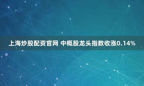 上海炒股配资官网 中概股龙头指数收涨0.14%